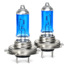 All Bulbs