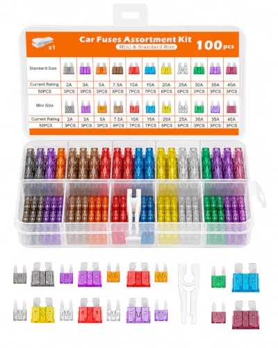100 PCS Car Fuse Kit , 50 Mini & 50 Standard 1 Puller,2A-40A