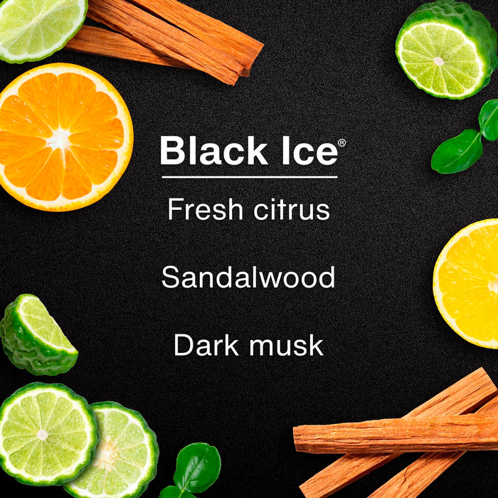 Little Trees Air Freshener Tree MTR0004 Black Ice Fragrance For Car Home Boat Caravan - Single Pack