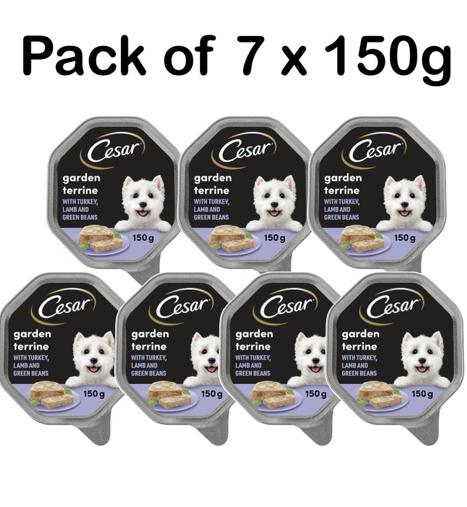 Pack 7 X 150g CESAR Garden Terrine Dog Food Tray Lamb Turkey Green Beans in Loaf