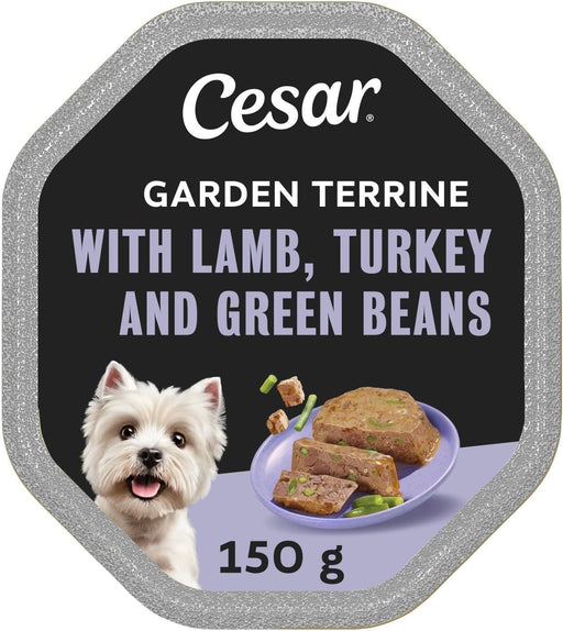 Cesar Wet Dog Food  Lamb & Turkey with Green Beans Garden Terrine 14x150g