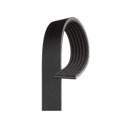 6 Rib Multi V Drive Belt V-Ribbed Belt  03L903137 Audi A1 A3 Q3 TT