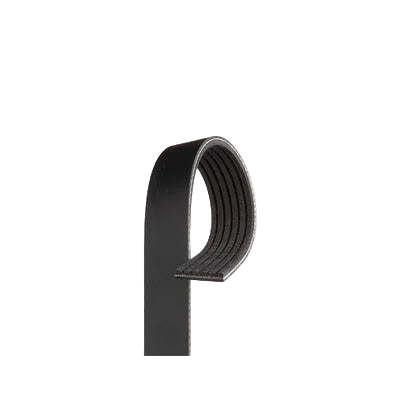 6 Rib Multi V Drive Belt V-Ribbed Belt  03L903137 Audi A1 A3 Q3 TT